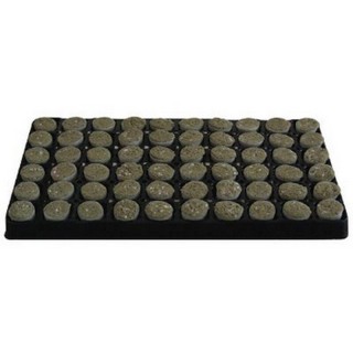 Plaque Bouturage Rockwool Paperbus 34mm 84 pièces par plaque | Boutures / Germination