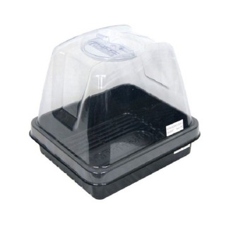 Mini Serre Propagator 24x21cm aération rotative compacte | Boutures / Germination