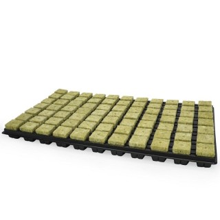 Grodan Plaque Boutures 77 cubes rétention eau uniforme | Boutures / Germination
