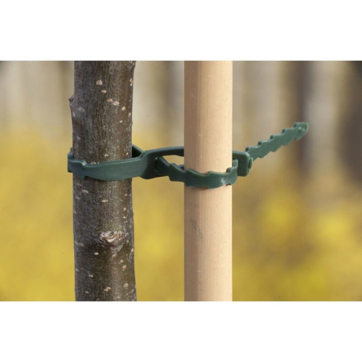 Lien Tuteurage 11.5cm x70 soutien croissance tiges ensemble | Divers